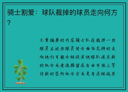 骑士割爱：球队裁掉的球员走向何方？