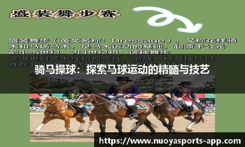 骑马操球：探索马球运动的精髓与技艺
